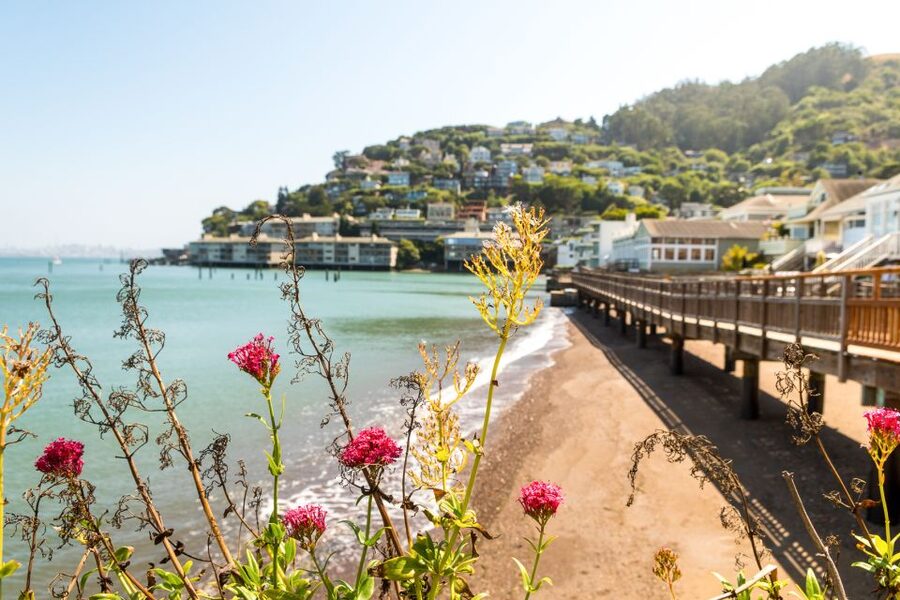 San Francisco: Muir Woods and Sausalito Half-Day Trip - Timing, clothing, and what to bring