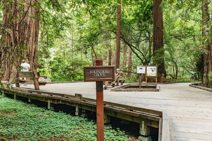 San Francisco: Muir Woods and Sausalito Small Group Tour - My take: book it for range, not for slow travel