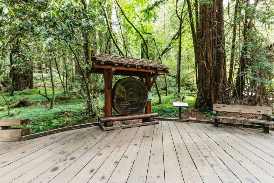 San Francisco: Muir Woods and Sausalito Small Group Tour - Why this tour works as a San Francisco side trip