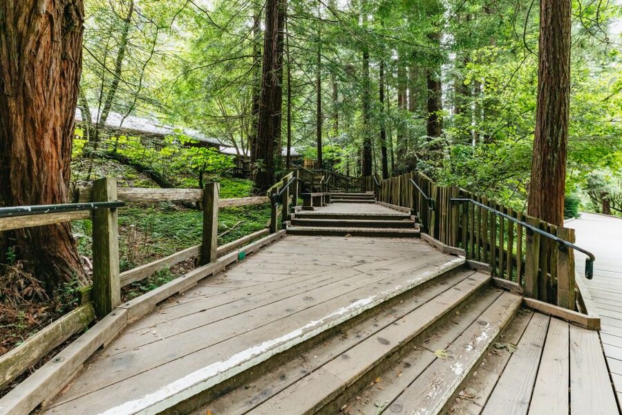 San Francisco: Muir Woods and Sausalito Small Group Tour - The ferry option changes the value