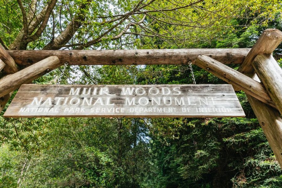 San Francisco: Muir Woods and Sausalito Small Group Tour - The guides and the small-group feel