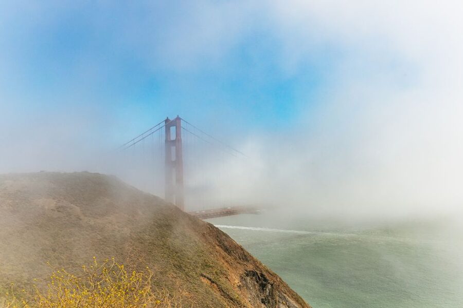 San Francisco: Muir Woods and Sausalito Small Group Tour - Who should book this outing?