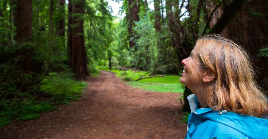 San Francisco: Muir Woods and Sausalito Tour with Admission - Walking beneath the Coast Redwoods