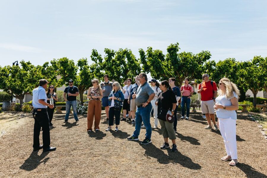 San Francisco: Muir Woods, Napa & Sonoma Valley Wine Tour - One day, two sides of Northern California