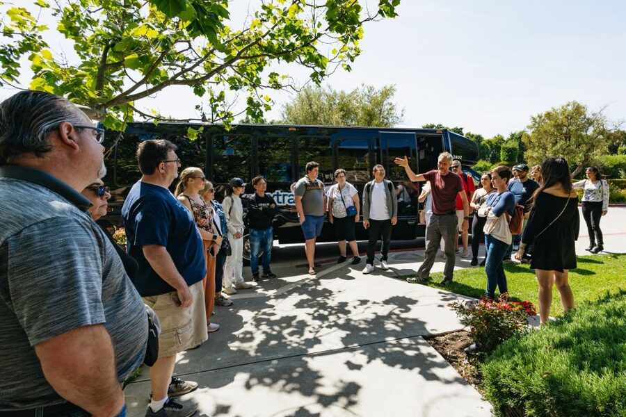 San Francisco: Muir Woods, Napa & Sonoma Valley Wine Tour - Sonoma Plaza gives you a choice at lunchtime