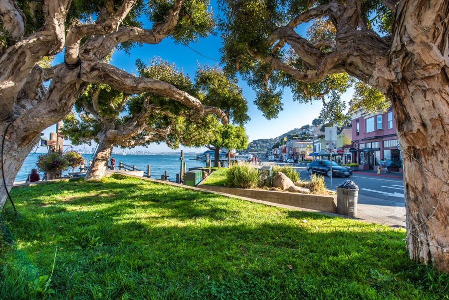 San Francisco: Muir Woods, San Francisco and Sausalito Tour - Golden Gate Bridge views without the parking headache