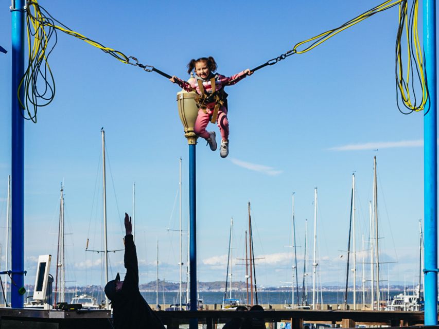 San Francisco: Muir Woods, San Francisco and Sausalito Tour - Price, planning, and who gets the best value