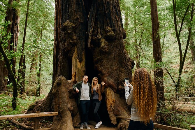 San Francisco, Muir Woods, Sausalito and optional Alcatraz tour - Golden Gate Bridge photo time is short but useful