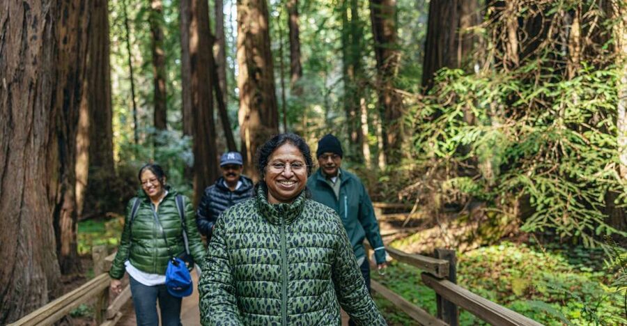San Francisco: Muir Woods, Sausalito and SF Bay Cruise - Why this six-hour combination works