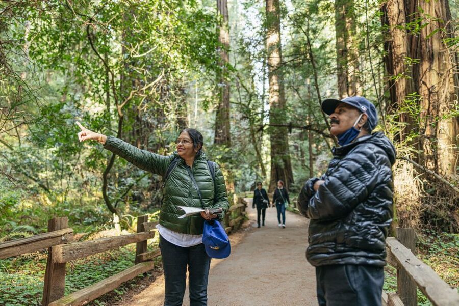 San Francisco: Muir Woods, Sausalito and SF Bay Cruise - Should you book it?