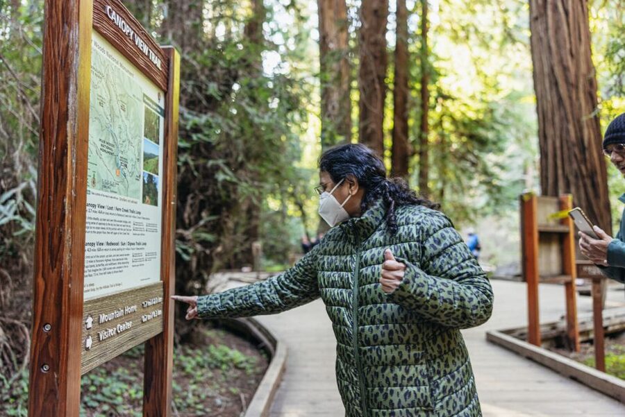 San Francisco: Muir Woods, Sausalito and SF Bay Cruise - Making the most of one hour in Sausalito