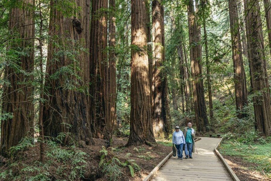 San Francisco: Muir Woods, Sausalito and SF Bay Cruise - Finishing on San Francisco Bay