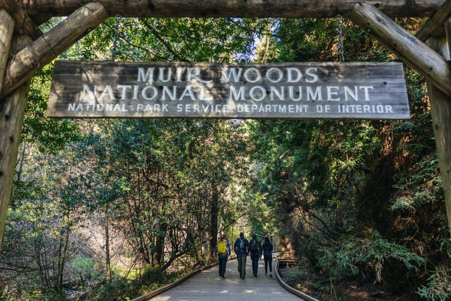 San Francisco: Muir Woods, Sausalito and SF Bay Cruise - Who will get the most from this tour