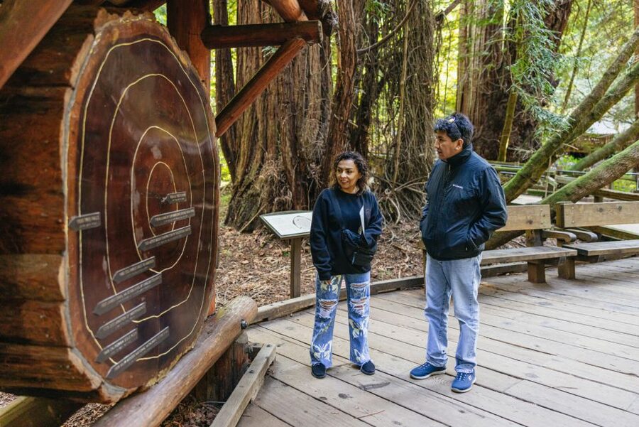 San Francisco: Muir Woods, Sausalito and SF Bay Cruise - Crossing the Golden Gate into Marin