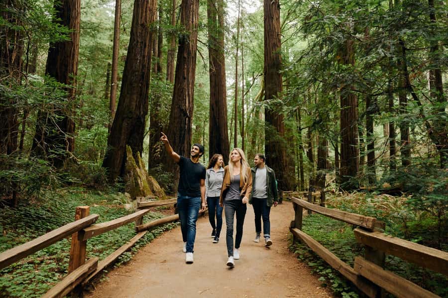 San Francisco: Muir Woods & Sausalito Tour w/Alcatraz Option - Key points to know before booking