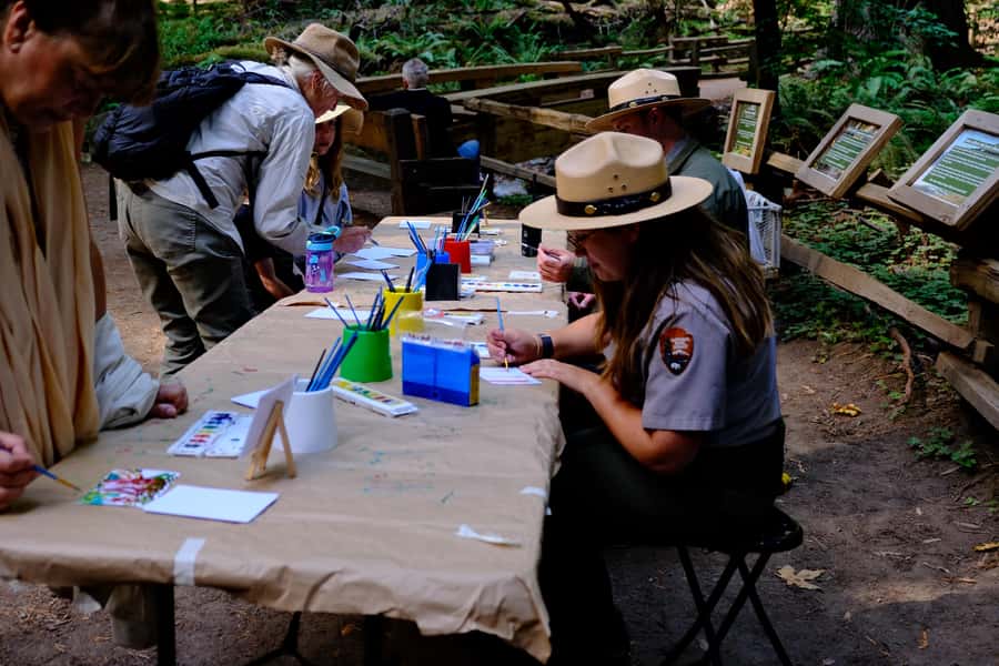 San Francisco: Muir Woods & Sausalito Tour w/Alcatraz Option - Why this San Francisco day tour works