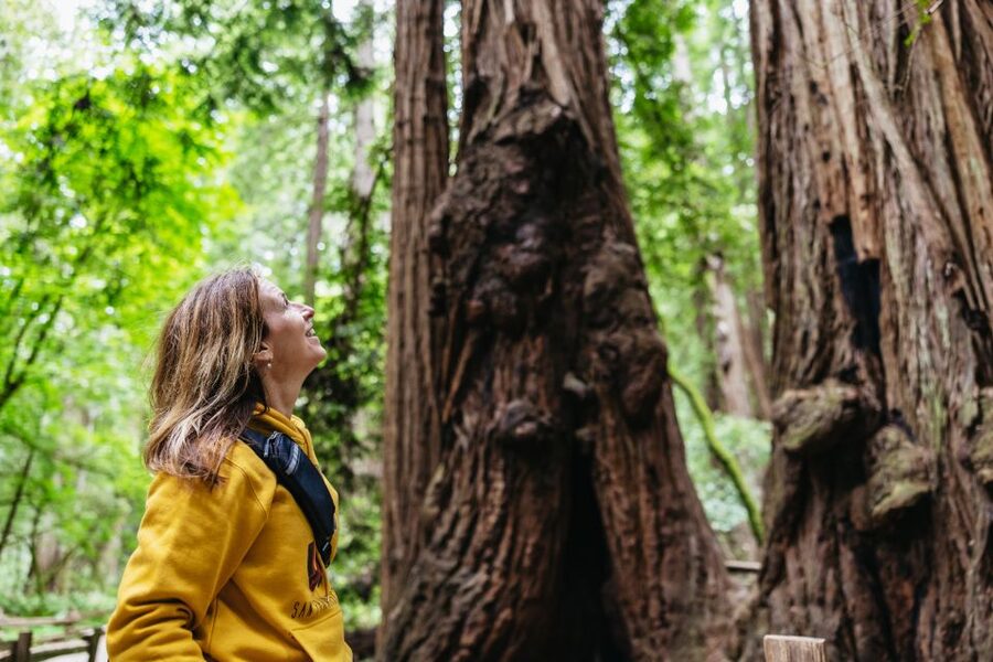 San Francisco: Muir Woods & Sausalito Tour with Ferry Option - Key points to know before booking