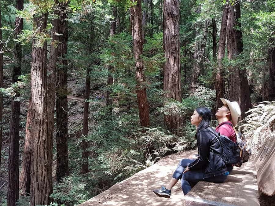 San Francisco: Muir Woods Tour & Golden Gate Bay Cruise - Walking beneath Muir Woods redwoods