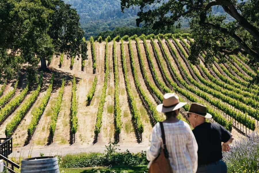 San Francisco: Napa and Sonoma Valley Wine Tour - Key points at a glance