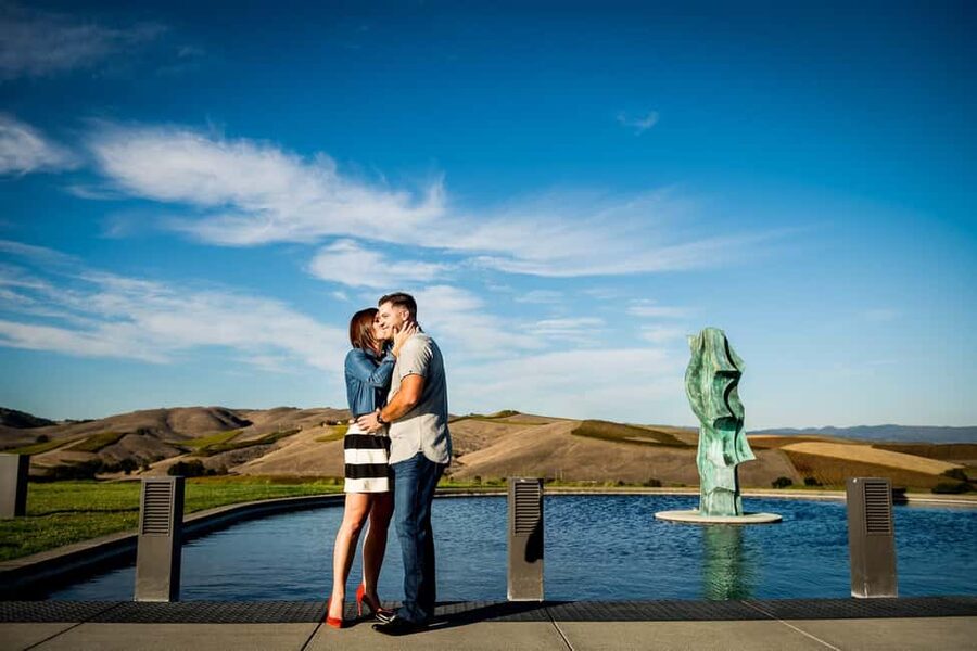 San Francisco: Napa and Sonoma Valley Wine Tour - Practical details before you reserve