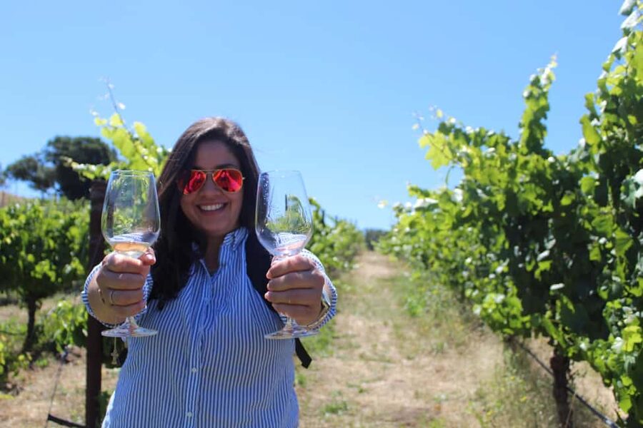 San Francisco: Napa and Sonoma Valley Wine Tour - A full day from San Francisco to wine country