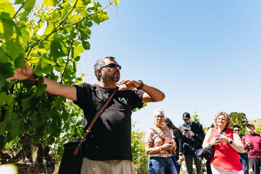 San Francisco: Napa and Sonoma Valley Wine Tour - The final winery and the long ride home