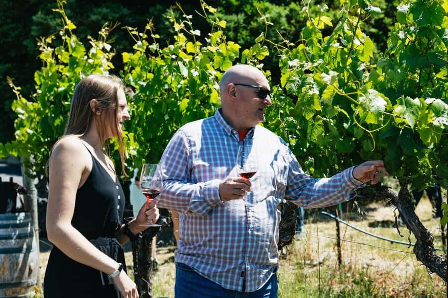 San Francisco: Napa and Sonoma Valley Wine Tour - Who will get the most from this tour?