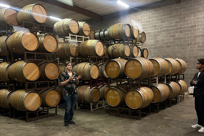 San Francisco: Napa & Sonoma Wine Tour & 24hr Hop-on Hop-off Tour - What the Napa day is really like