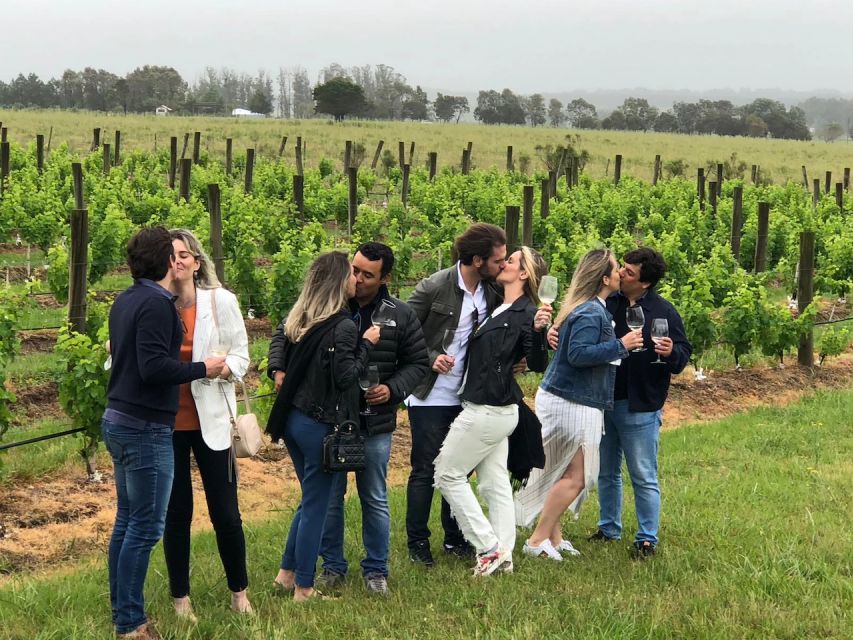 San Francisco: Napa Valley Half-Day Wine Tour with Tastings - Madonna Estate: a tasting-room style first stop