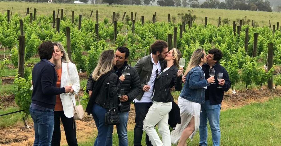 San Francisco: Napa Valley Half-Day Wine Tour with Tastings - What six hours really allows you to see