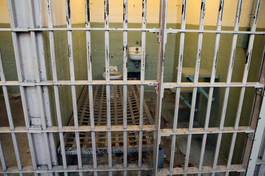 San Francisco: Private Alcatraz & City Tour Combo - North Beach, Washington Square, and Coit Tower