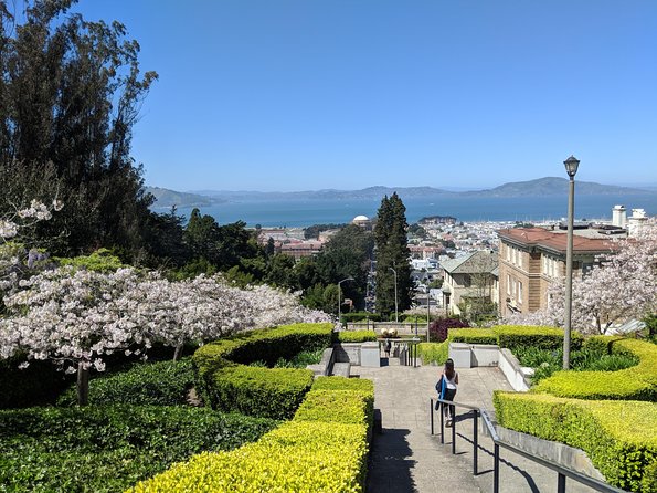 San Francisco Private City Tour - The Wharf, Ghirardelli Square, and family-friendly options
