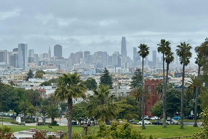 San Francisco Private City Tour in New EV Volkswagen Van - Why a private EV van works well in San Francisco