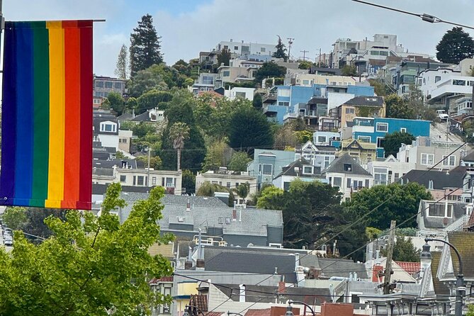 San Francisco Private City Tour in New EV Volkswagen Van - Twin Peaks, the Castro, and Dolores Park