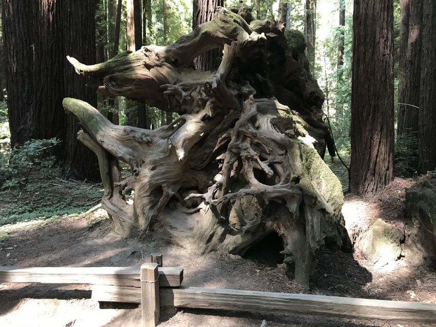 San Francisco: Private Muir Woods and Sausalito Tour - Key points to know before booking
