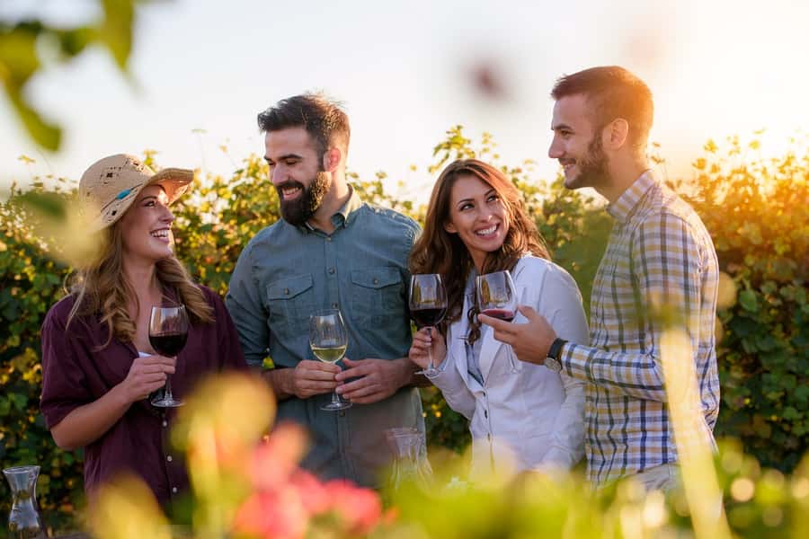 San Francisco: Redwood & Wine Country Tour with Lunch & Wine - Why this tour works for a first wine country visit