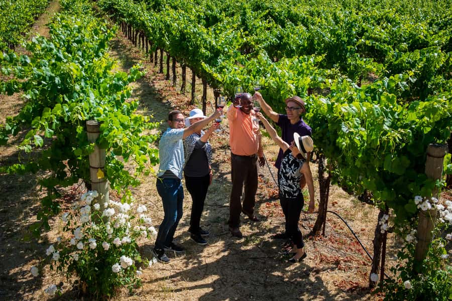San Francisco: Redwood & Wine Country Tour with Lunch & Wine - Napa brings the first serious tasting stop