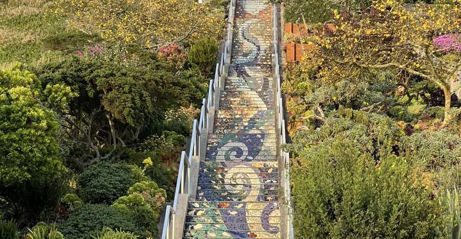 San Francisco's Wild Side, Ecotour With Meteorologist - From redwoods to rooftops in 150 minutes