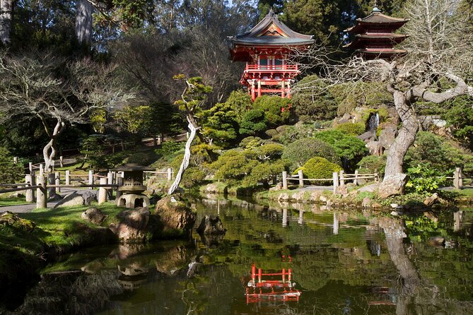 San Francisco: Scenic Surrey Ride Through Golden Gate Park - The best stops for different kinds of groups