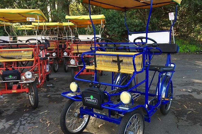 San Francisco: Scenic Surrey Ride Through Golden Gate Park - What the equipment adds to the outing