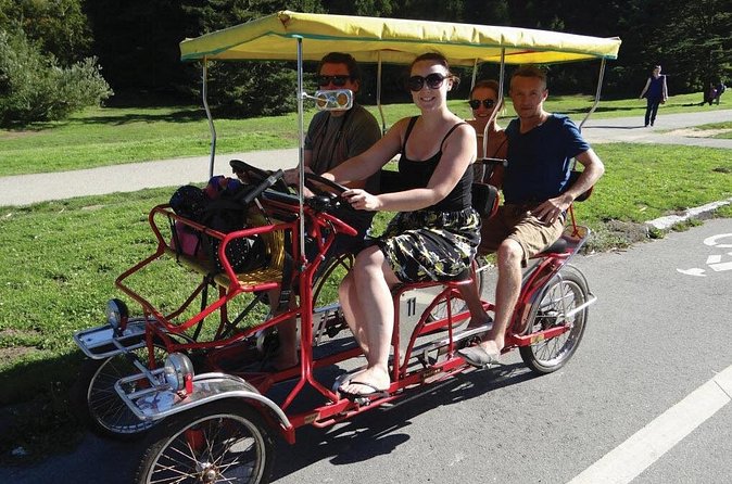 San Francisco: Scenic Surrey Ride Through Golden Gate Park - Who should book the Golden Gate Park surrey?