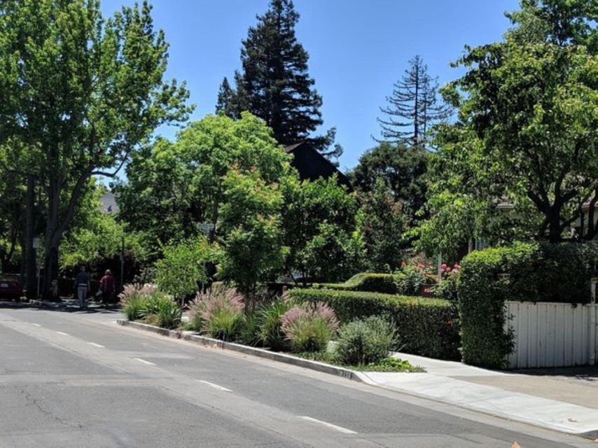 San Francisco: Silicon Valley Private Tour with Transfers - My Verdict: A Smart Introduction, Not a Full Silicon Valley Study