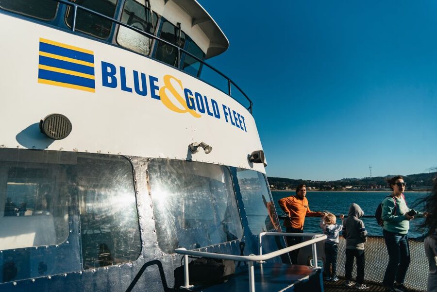 San Francisco: Skip-the-Line 1-Hour Bay Cruise by Boat - Pier 39 sea lions and the first waterfront views