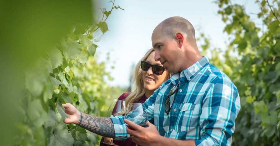 San Francisco: Sonoma Wine Country Tour with Tastings - Leaving San Francisco for Sonoma Valley