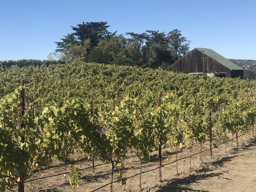 San Francisco: Sonoma Wine Country Tour with Tastings - What the guides add to the day