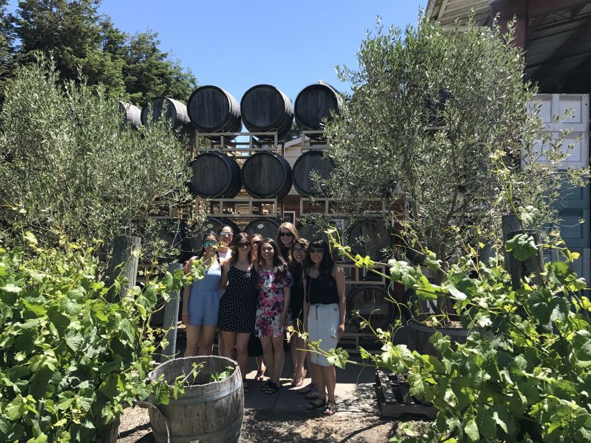 San Francisco: Sonoma Wine Country Tour with Tastings - Weather, clothing, and mobility