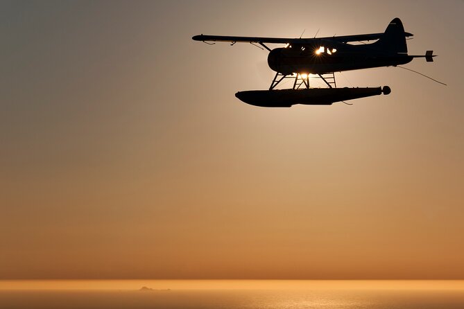 San Francisco Sunset Champagne Seaplane Tour - From Great Camping Beach to Muir Woods