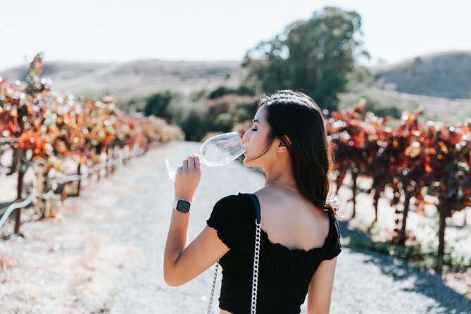 San Francisco Super Saver: Muir Woods & Wine Country w/ optional Gourmet Lunch - Jacuzzi Family Vineyards and olive oil