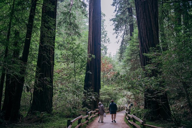 San Francisco Super Saver: Muir Woods & Wine Country w/ optional Gourmet Lunch - The ride home and Golden Gate North Vista Point