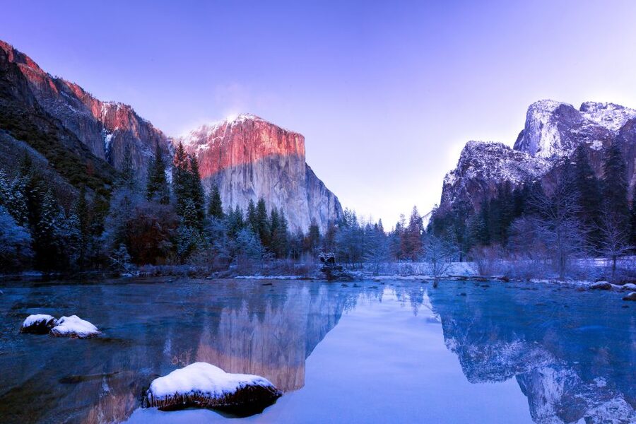 San Francisco to/from Yosemite National Park: 1-Way Transfer - Small touches that improve a long ride